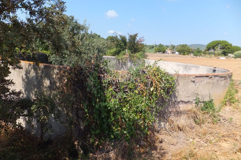 Foto e3c7fd17-06f0-44fe-9649-645970da0969. Finca rústica a Riudoms