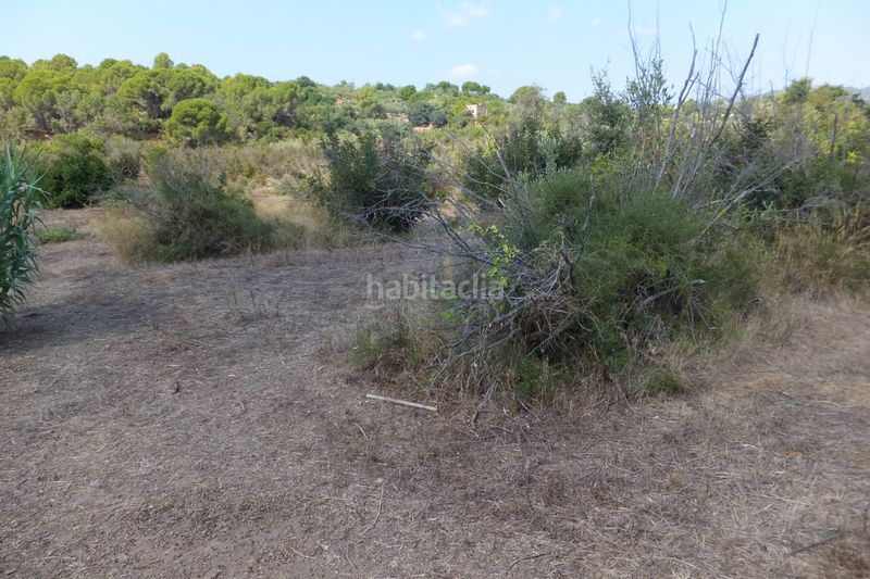 Foto eddca22e-dc0d-433a-92fc-bb3c63a88aad. Finca rústica a Riudoms