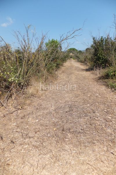 Foto f2b66ea2-7df2-431c-8914-ede72d1cac8d. Finca rústica a Riudoms