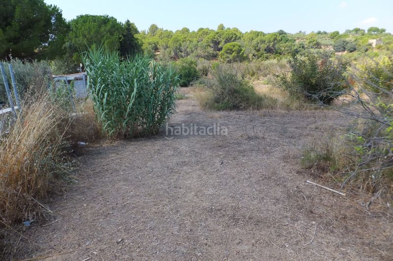 Foto f8327410-23db-441f-921e-7debea3e1b15. Finca rústica a Riudoms