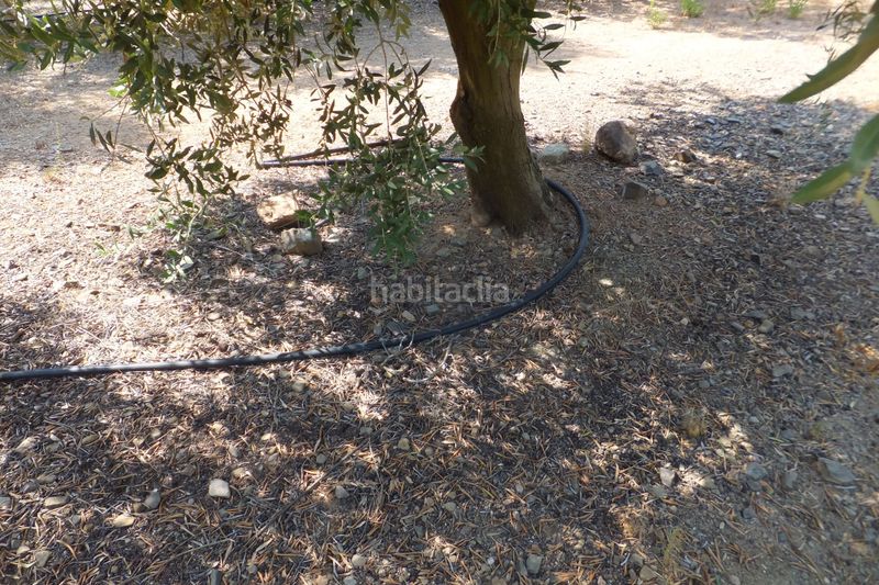 Foto 2278e65d-ed72-48a6-b3ef-ff3f45746e1d. Finca rústica a Riudoms
