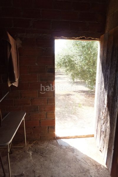 Foto 5431ef28-16d5-49cd-9684-781036e26005. Finca rústica a Riudoms