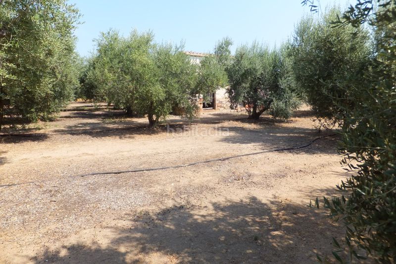 Foto 611c2a5e-98e0-4c80-863c-d997e96ef356. Finca rústica a Riudoms