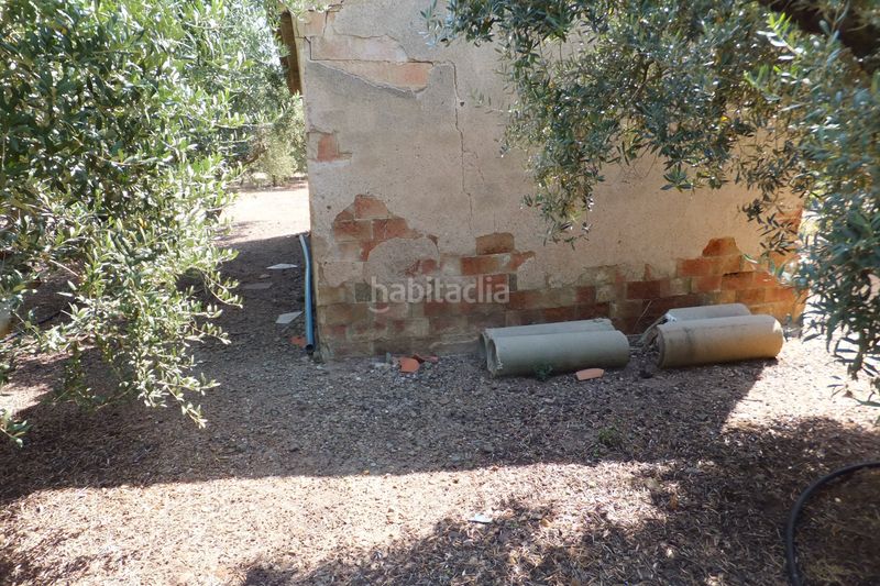 Foto 648a2c04-058f-4f5d-bfa8-0d1437513e91. Finca rústica a Riudoms