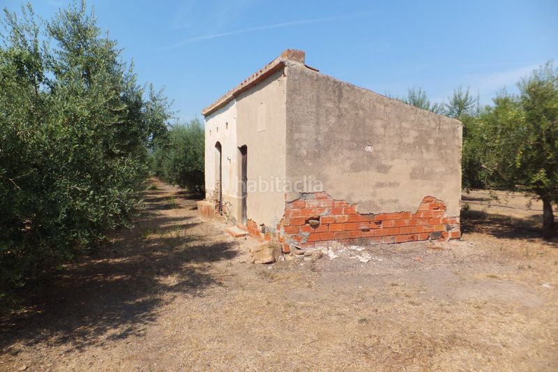 Foto 7f7b207f-c932-4b8a-99b4-9e6adbd007d5. Finca rústica a Riudoms