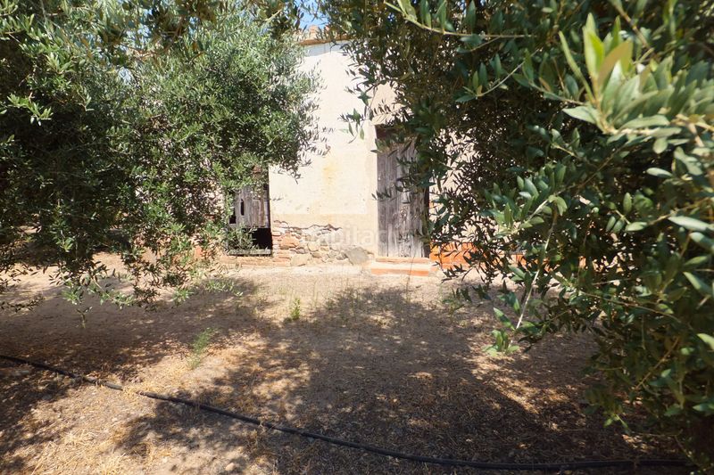 Foto bc998d1a-9b1e-4463-b502-219a03e93014. Finca rústica a Riudoms