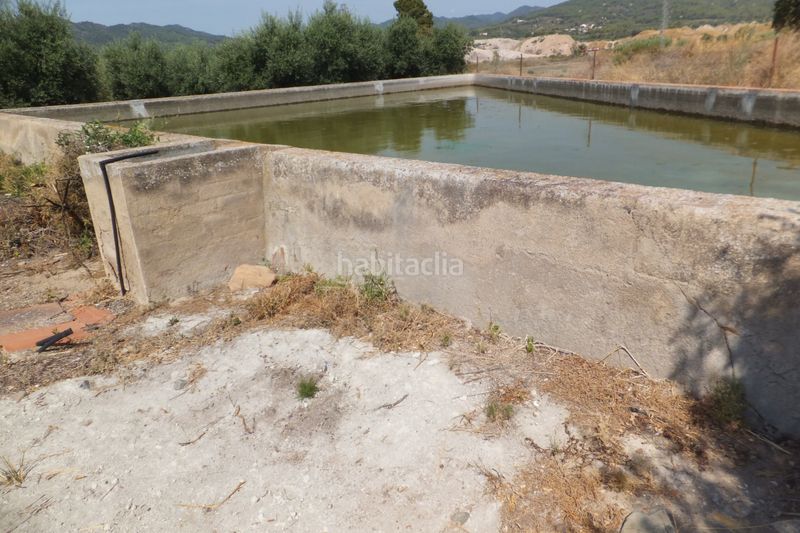 Foto c7458696-d2a0-4b4e-8547-9bb4f758973f. Finca rústica a Riudoms