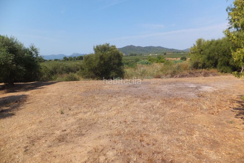 Foto e0f9b0ab-50dd-4320-ad81-37a71bfbd0ce. Finca rústica a Riudoms