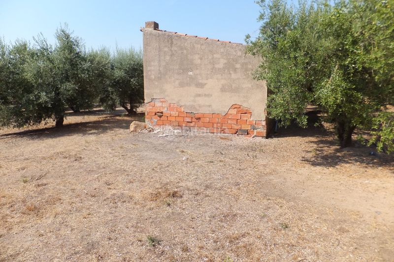 Foto f1c7be11-750c-43af-bc21-f3a77b2ac1fb. Finca rústica a Riudoms
