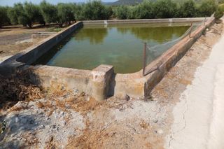 Rural plot  Vial camino. Finca agricola i mas legalitzat