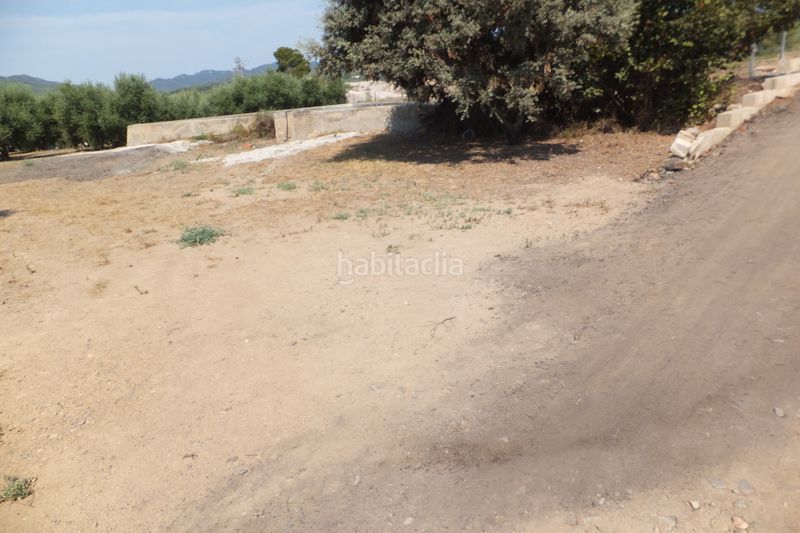 Foto fa8346f0-ade7-4a0f-8828-2e17f28f1ea9. Finca rústica a Riudoms