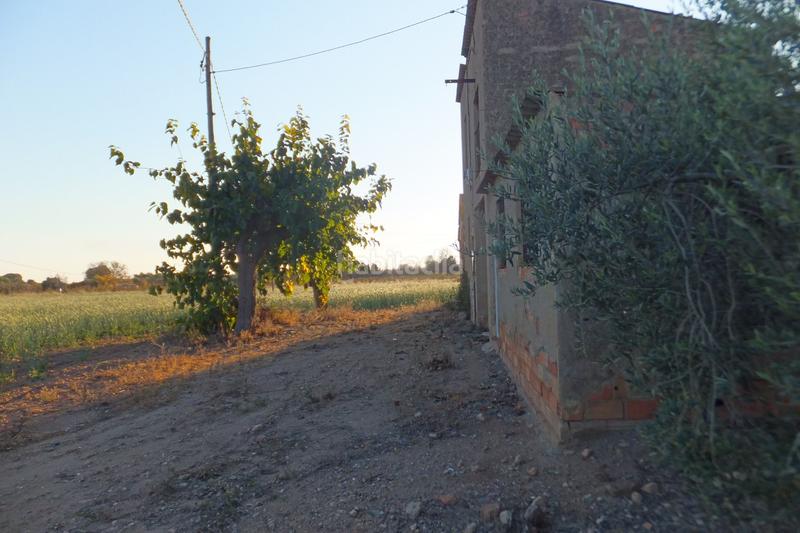 Foto 51e82c7c-1d80-4f5a-918a-ef2f2a01e5d3. Finca rústica a partida el roquis 34 a Ponent Reus