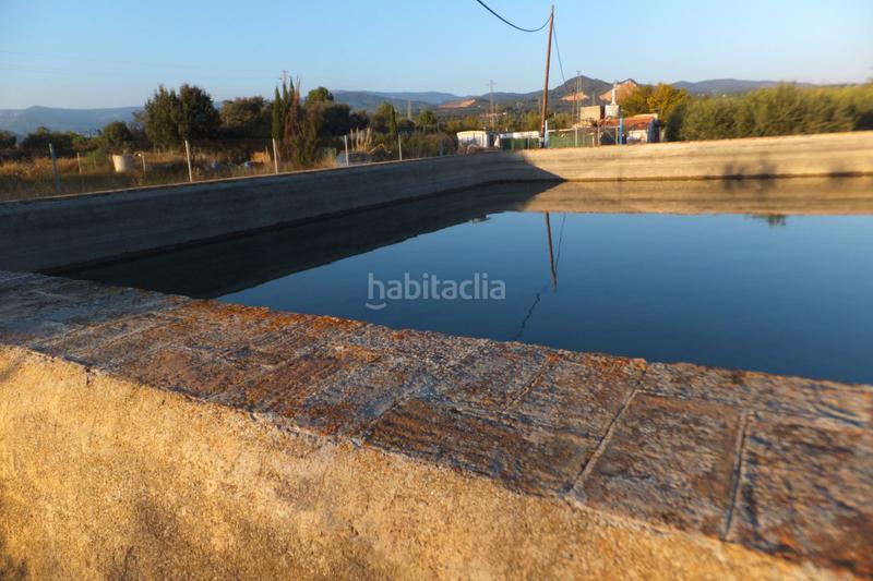 Foto 6dd83814-7dfa-4b7b-8701-3ab763fb29a7. Finca rústica a partida el roquis 34 a Ponent Reus