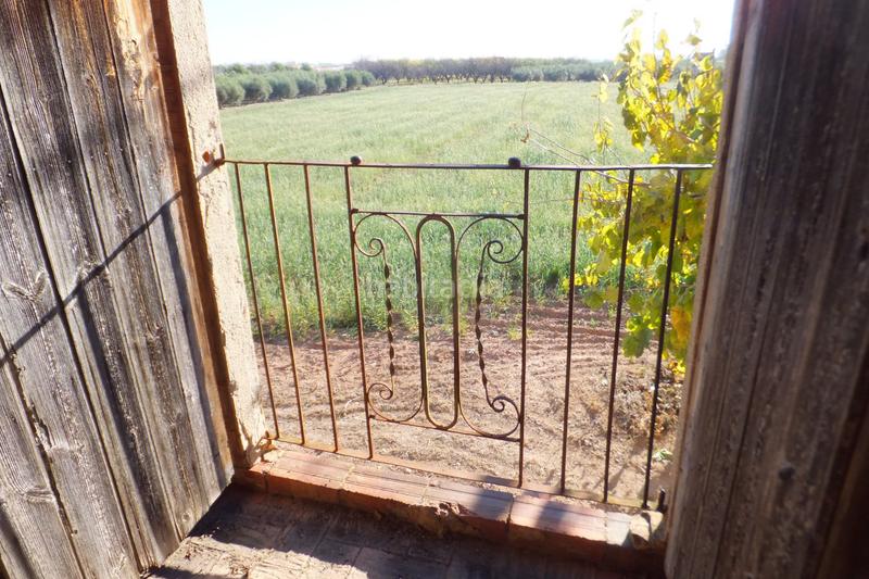 Foto 7caee027-f93e-4e28-9277-59363dee590a. Finca rústica a partida el roquis 34 a Ponent Reus