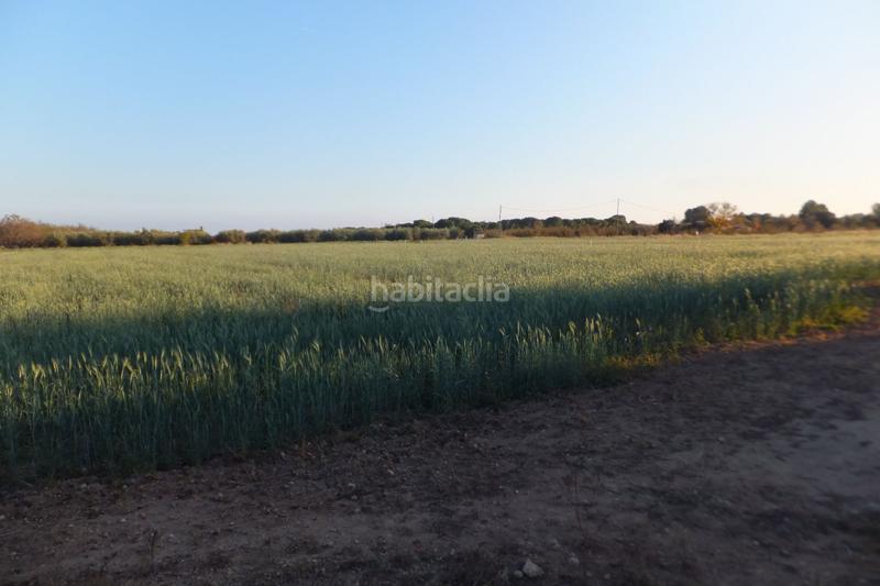 Foto dc477edf-f8f4-4a05-925e-a263005c7887. Finca rústica a partida el roquis 34 a Ponent Reus