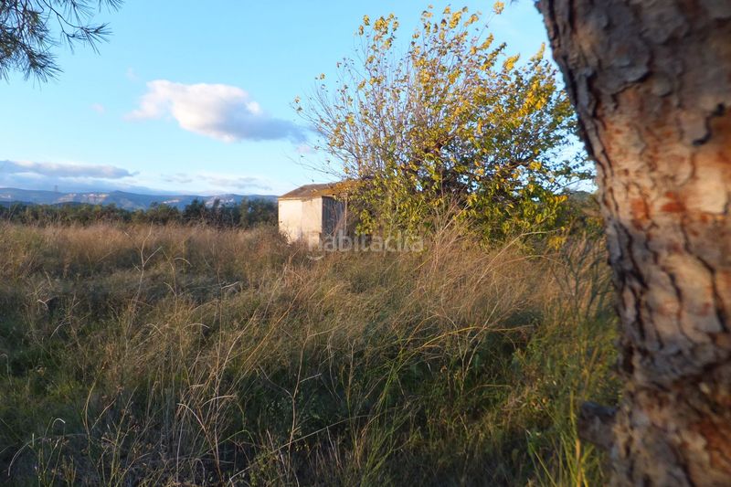 Foto 407f088b-ac00-4f26-b097-2d6d64cede55. Finca rústica a Ponent Reus