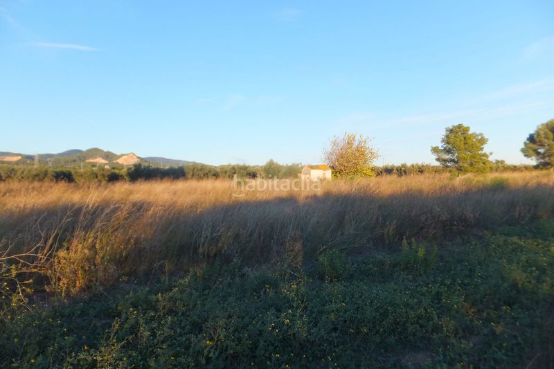 Foto 4a5c2d5a-4509-46de-8fd6-8ca39a55a431. Finca rústica a Ponent Reus