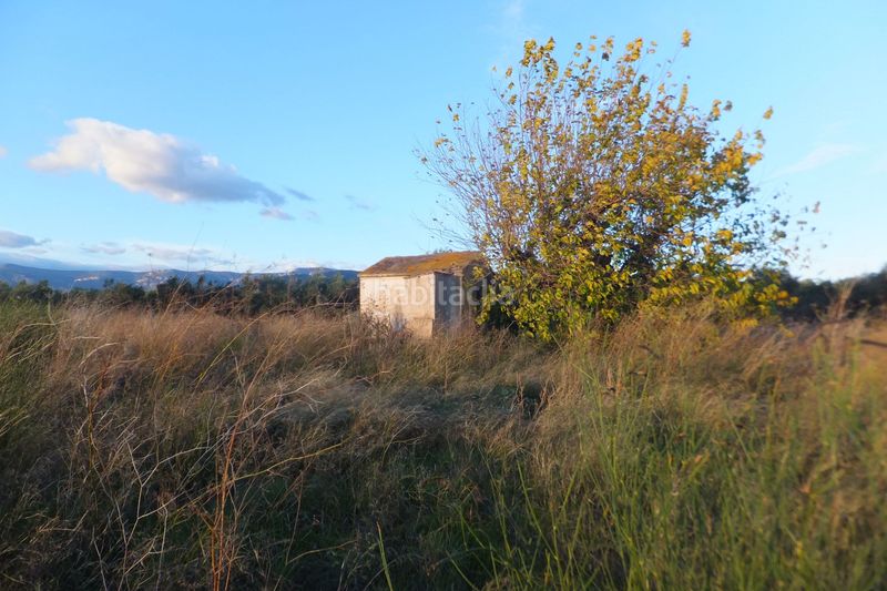 Foto 53f0b392-5788-4f1a-8c48-997fb0a3413d. Finca rústica a Ponent Reus