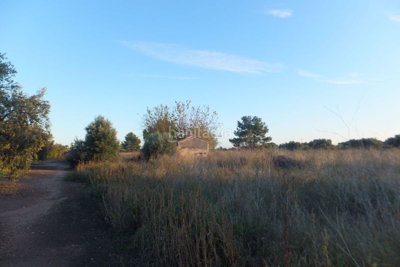 Foto 8b536898-ea37-4c04-98be-b57d3cf61ad2. Finca rústica a Ponent Reus