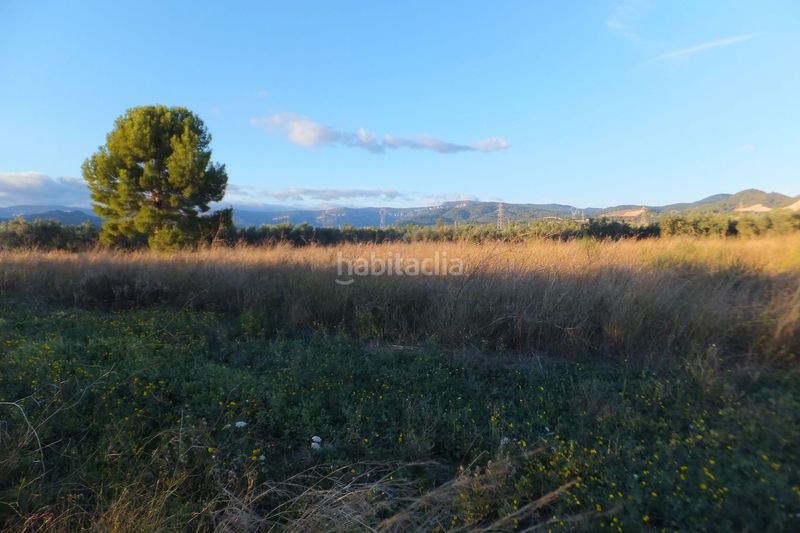 Foto a1fbd9c5-deb3-43b8-9f42-7877e73b5995. Finca rústica a Ponent Reus