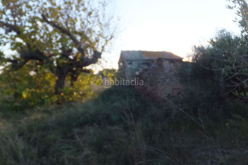 Foto be6b61be-36d3-40ae-a108-485d90a27210. Finca rústica a Ponent Reus