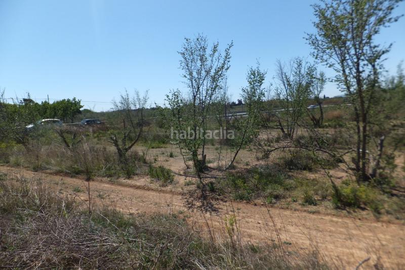 Foto 1a7afc49-1418-4079-b1e0-9af0b66dbd1d. Finca rústica a Riudoms