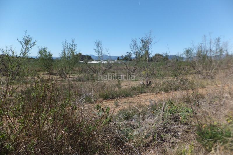 Foto 2798ed89-cdfe-4f0a-93ed-b709e3fdc002. Finca rústica a Riudoms