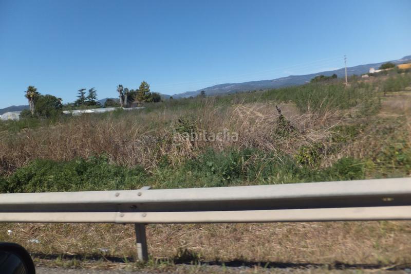 Foto 599b8373-6b16-403f-abe9-23c10839ea12. Finca rústica a Riudoms