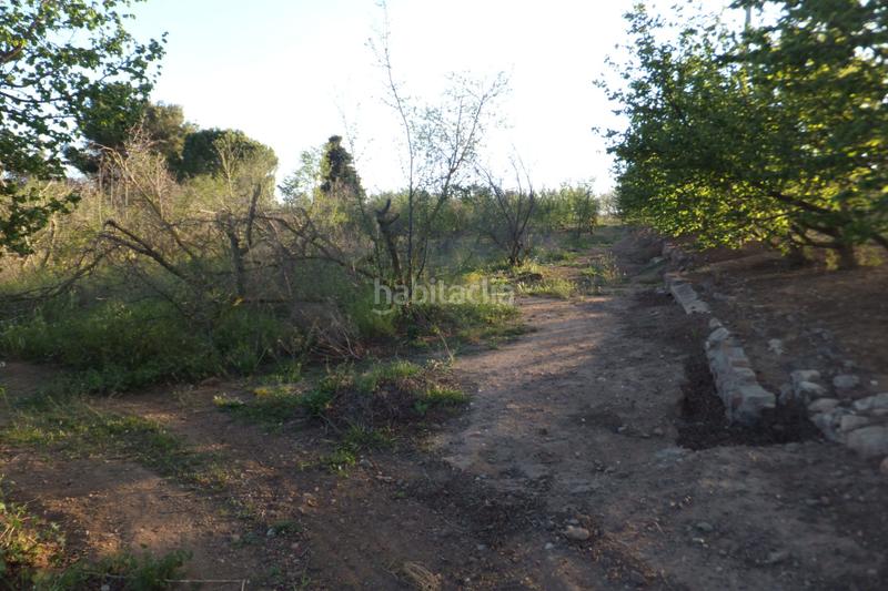 Foto 5e3fdb4c-edda-40c6-b241-1bb694899fbf. Finca rústica a Riudoms