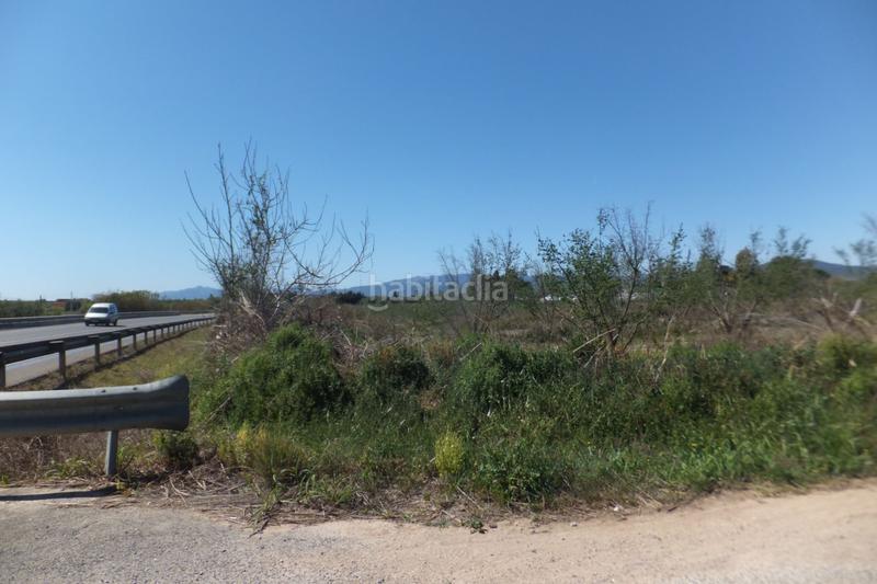 Foto 8f557afb-de42-4f71-87b8-968b98c0bffe. Finca rústica a Riudoms