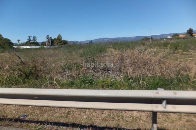 Foto c6717776-e5c5-4933-9ada-641ed78be7fb. Finca rústica a Riudoms