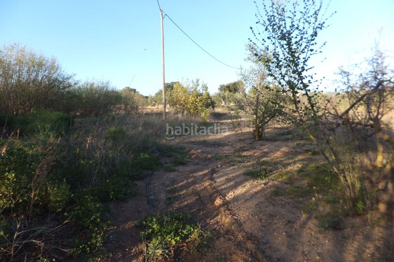 Foto cae29fea-6e20-431e-b7cf-84152d2e66ed. Finca rústica a Riudoms