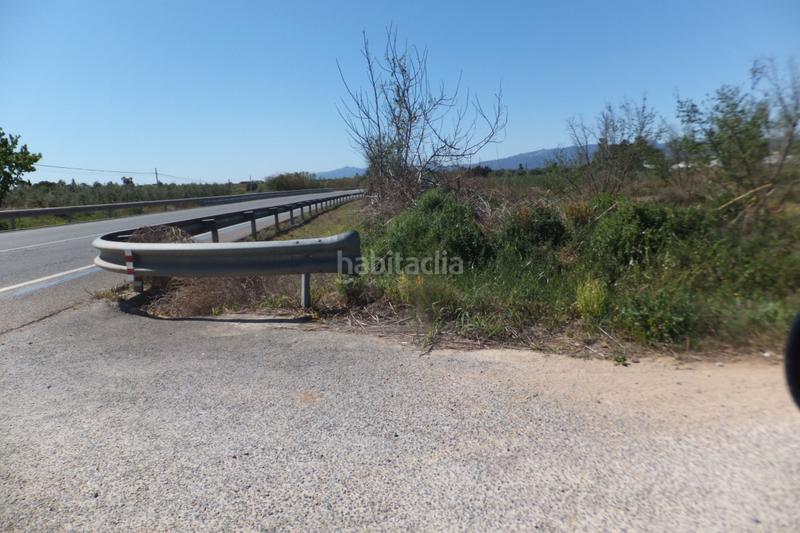 Foto ef863ad9-dcf7-4c51-893f-ef83d05bf315. Finca rústica a Riudoms