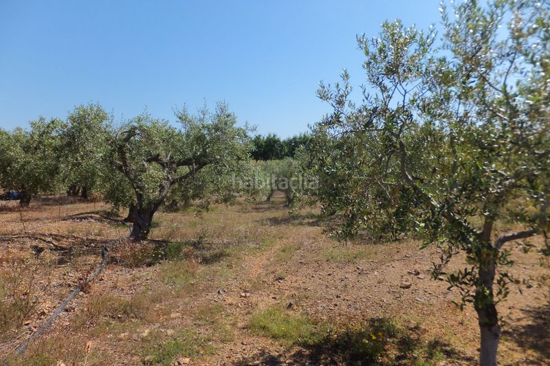 Foto 4300cb1c-c843-40b1-93b9-280e7d022797. Finca rústica a Botarell