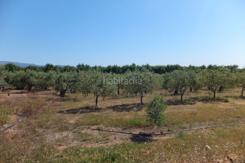 Foto 5ce6fcd1-d411-4cc2-83a0-c9d195f03393. Finca rústica a Botarell