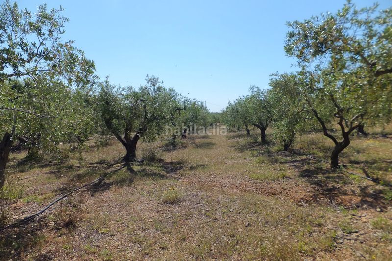 Foto 5f444fdd-55ee-4d71-8623-98399bdeebe8. Finca rústica a Botarell