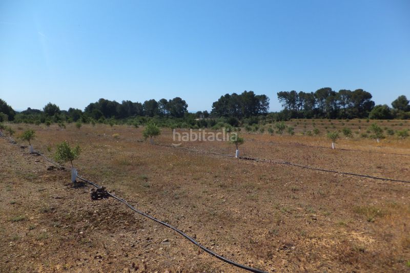 Foto 658e5d83-cf9d-4404-a709-35d6fb1cd55c. Finca rústica a Botarell