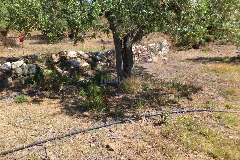 Foto 909d8cfb-8a48-42d2-9de2-6c7d6f5d2e7b. Finca rústica a Botarell