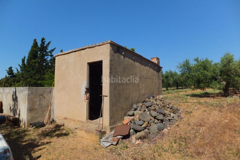 Foto b184d3f2-9c05-40e4-bcb9-63a78ec42504. Finca rústica a Botarell