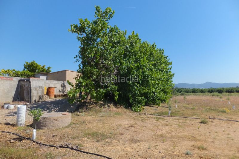 Foto b6346b2c-8669-48b0-870d-12cbbb47c809. Finca rústica a Botarell