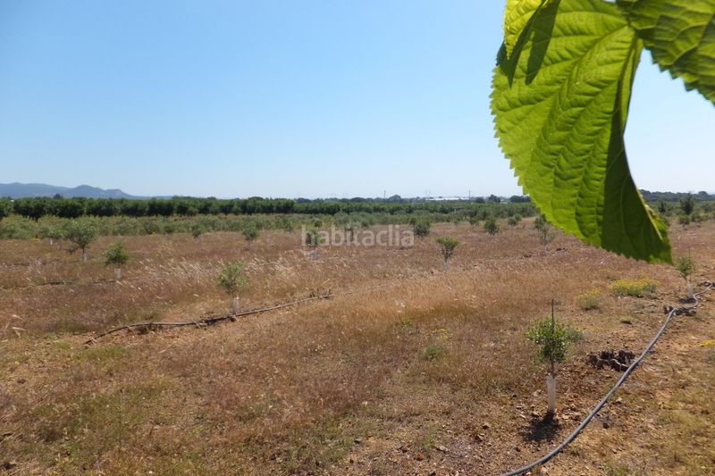 Foto ba13121a-42b8-41cd-a892-9a6c16c9a45a. Finca rústica a Botarell