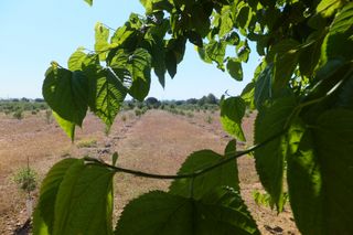 Fondo rustico in Botarell. Venda el rabellas en botarell - legalitzada