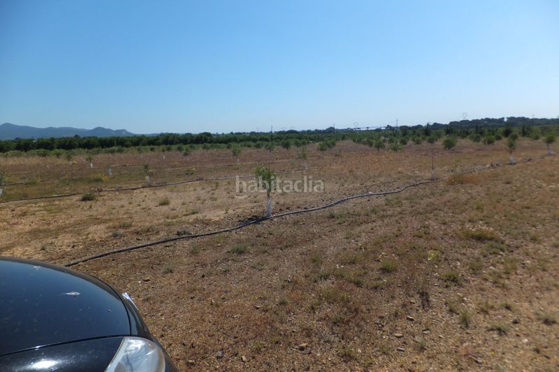 Foto de73fcdc-de49-4040-9f3f-a3bd06112b99. Finca rústica a Botarell