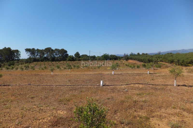 Foto e7d05f30-ce02-44ec-aeb0-b5ab5d104a52. Finca rústica a Botarell