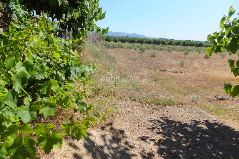 Foto eb254007-ea8d-43a5-95c6-c83c4ebacdbd. Finca rústica a Botarell