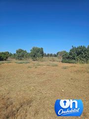 Rural plot in Gibraleón. Ocasión única en gibraleón.