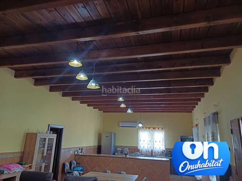 Foto 0b1a5fb7-1f7d-45a4-9aae-3db9c78715ee. Masia a Las Torres - Guadalupe Huelva