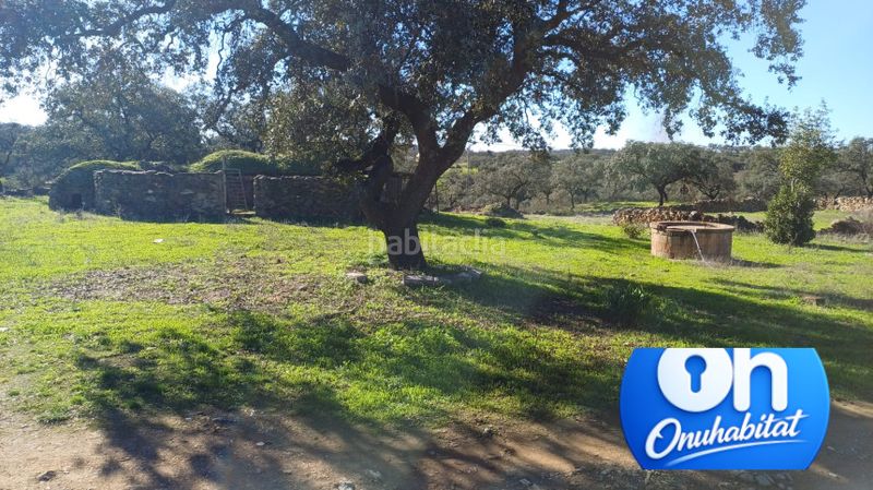 Foto d08e6061-01da-402f-be8a-a4f0b6219c66. Masia a Las Torres - Guadalupe Huelva