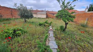 Casa a Calle félix rodríguez de la fuente 28. Se vende auténtica casa de pueblo con gran terreno en villaralbo