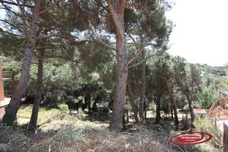 Terreny residencial a Ametlla del Vallès (L´)